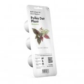 Click & Grow Plant Pods 3-Pack - Polka Dot Flower