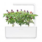 Click & Grow Plantekapsler 3-pakning – chilipepper