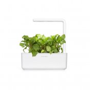 Click & Grow Plant Pods 3-Pack - Green Sorrel