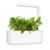 Click & Grow Plant Pods 3-Pack - Green Sorrel