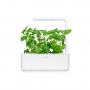 Click & Grow Plantepods 3-pak - Katteurt