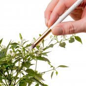 Click & Grow Gardening Accessories Kit