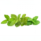 Click and Grow Smart Garden Refill 9-pakke Calming Tea Mix