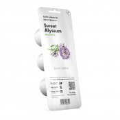 Click and Grow Smart Garden Refill 3-pak - Sweet Alyssum