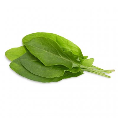 Click & Grow Plant Pods 3-Pack - Green Sorrel