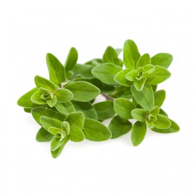 Click & Grow Plant Pods 3-Pack - Marjoram