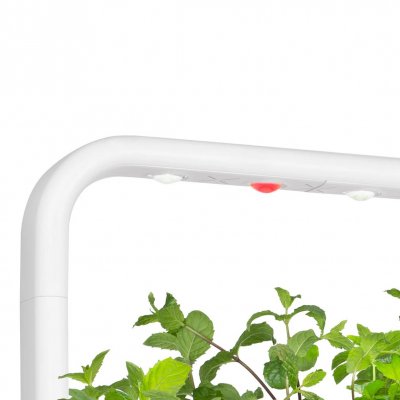 Click and Grow varalamppu Smart Garden 9:lle