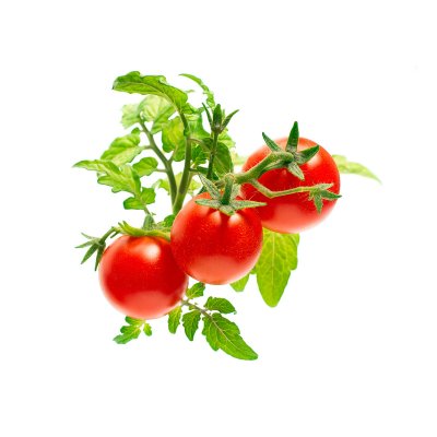 Click and Grow Smart Garden Refill 3-pak - Mini Tomat