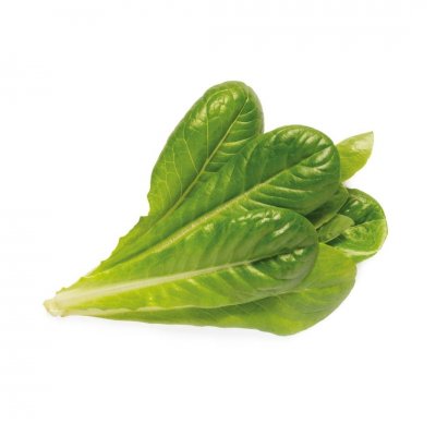 Click and Grow Smart Garden Refill 3-pak - Romaine Salat